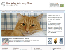Tablet Screenshot of pinevalleyvc.com